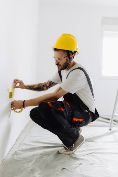 Professional Dry wall and painting in Lake Los Angeles, CA